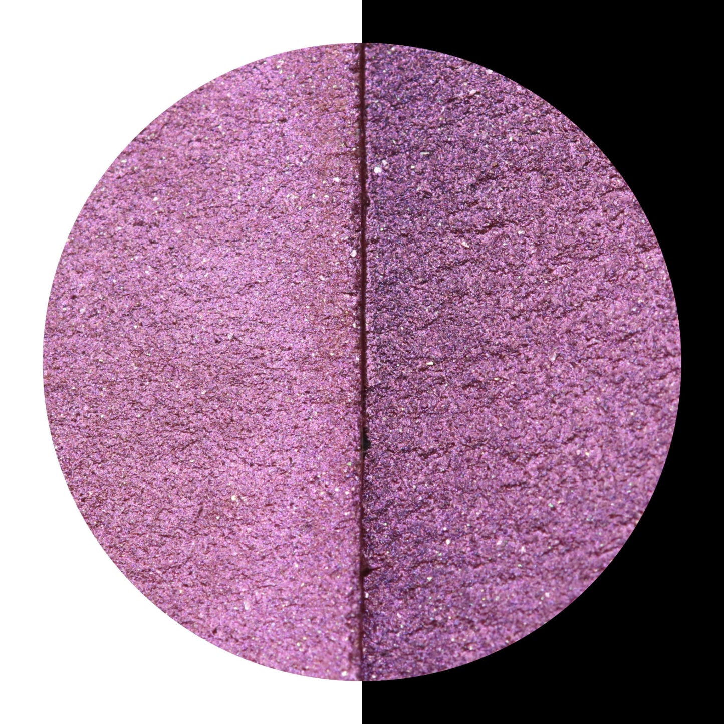 coliro Pearlcolor Farbton CL02 - Bloom limited Edition