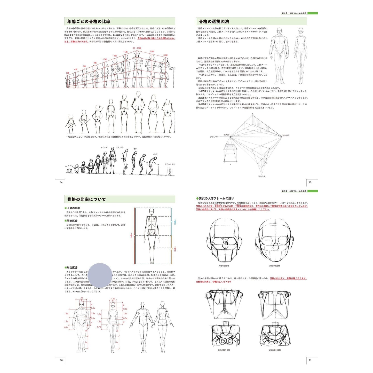 How to draw - jap. Zeichenbuch - Master Guide - vom menschlichen Körper bis zur Charaktererstellung