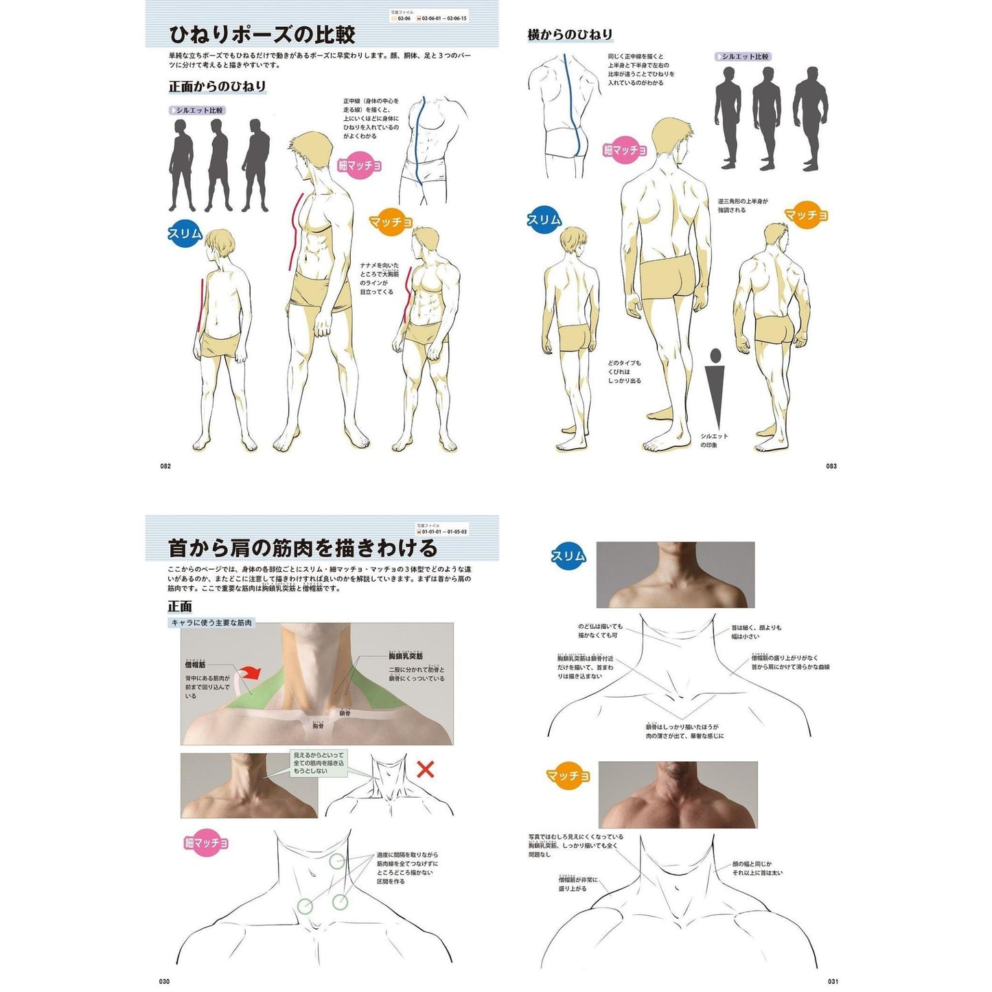 How to draw - jap. Zeichenbuch - Muskeln: von schlank bis Macho