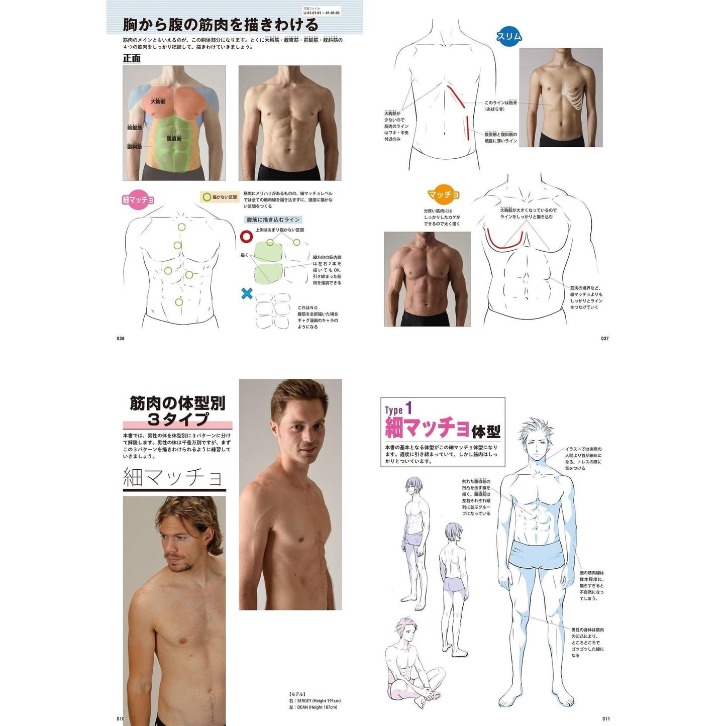 How to draw - jap. Zeichenbuch - Muskeln: von schlank bis Macho