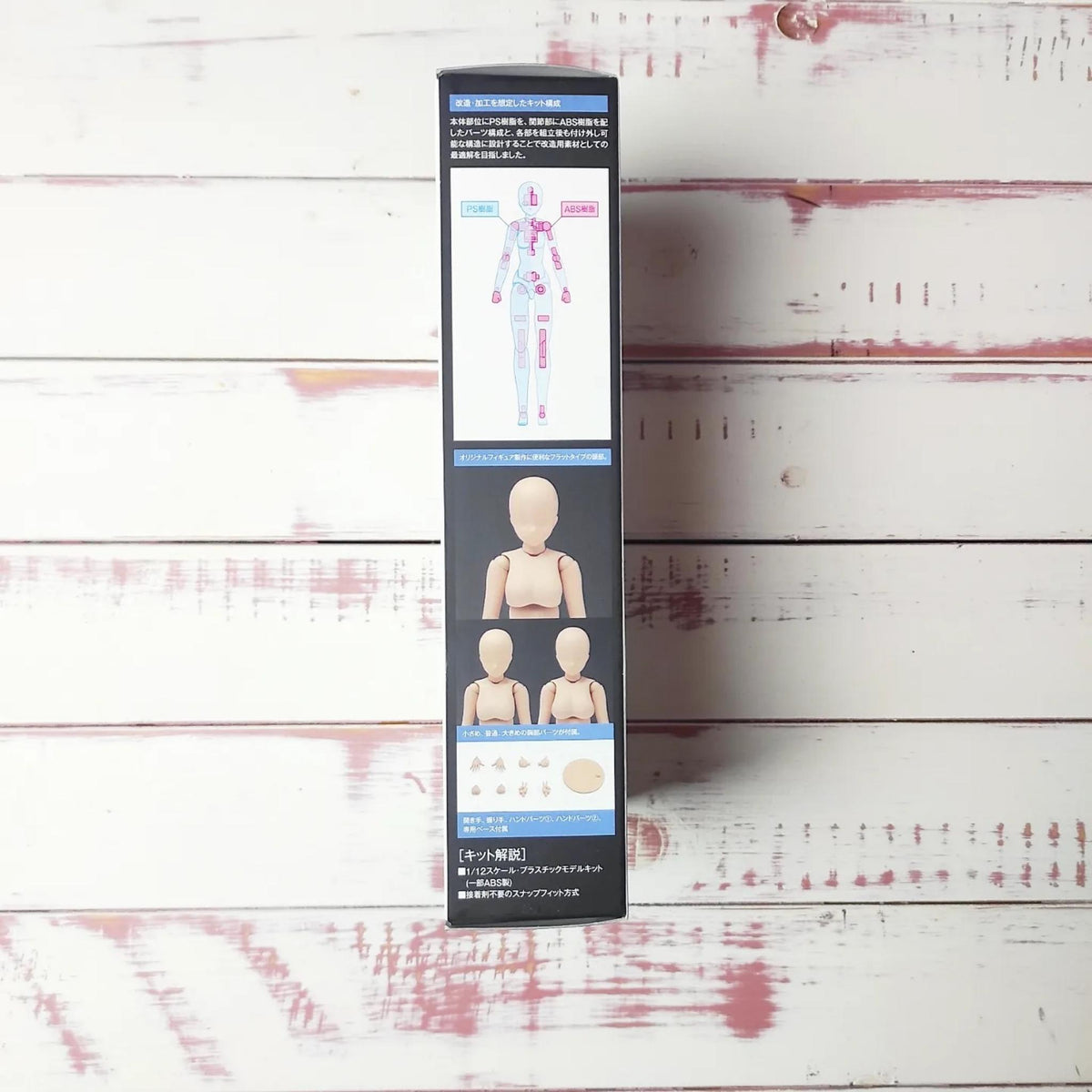 Wave - 1/12 Female Body - Zeichnerpuppe - Modellbaukit