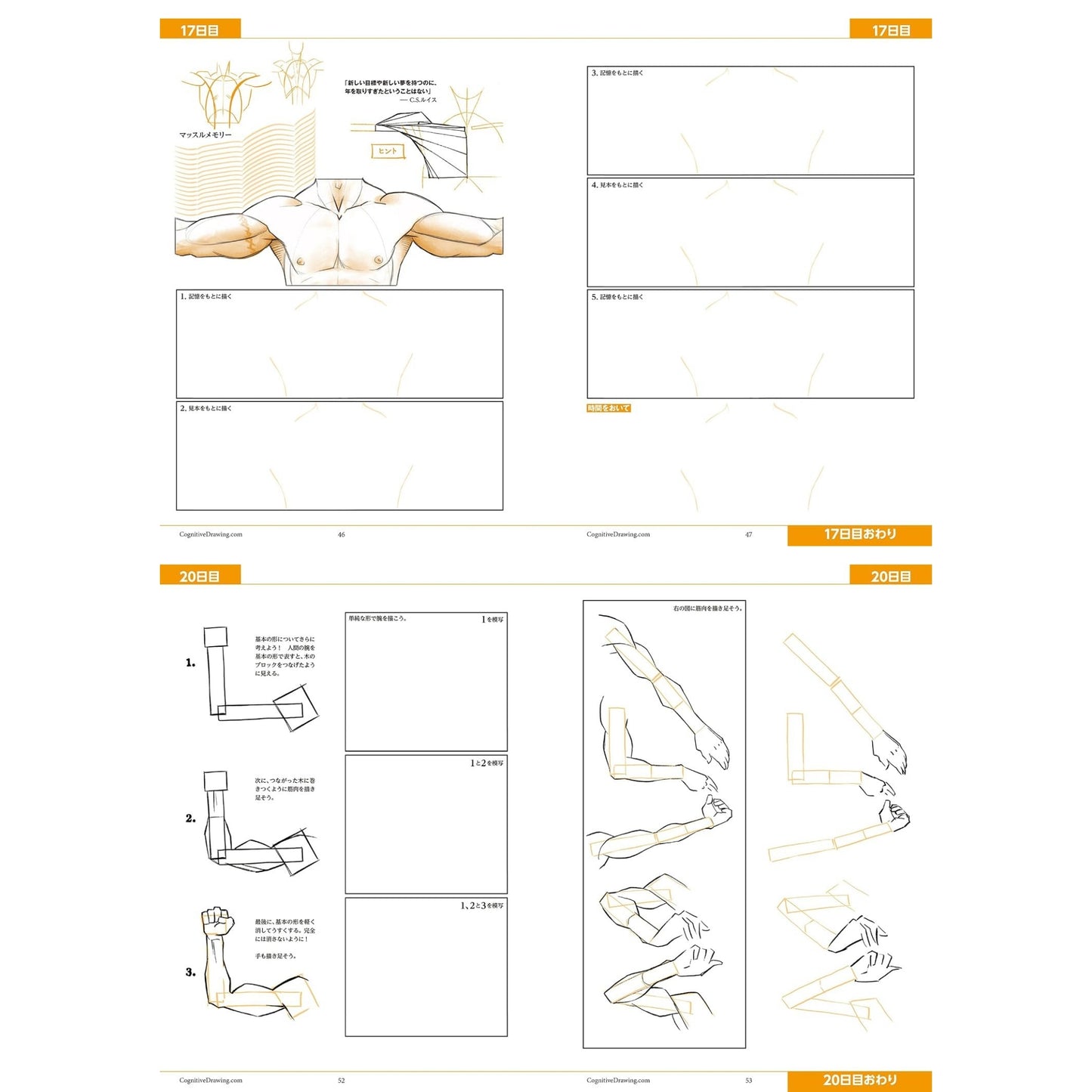 How to draw - Männliche Körper sicherer zeichnen – mit 90 systematischen Übungen | Zeichenbuch für Manga & Illustration