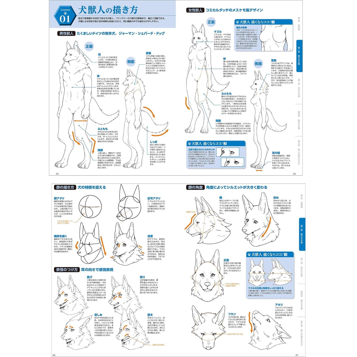 How to draw - jap. Zeichenbuch - a Beast - Tier-Mensch-Mischwesen